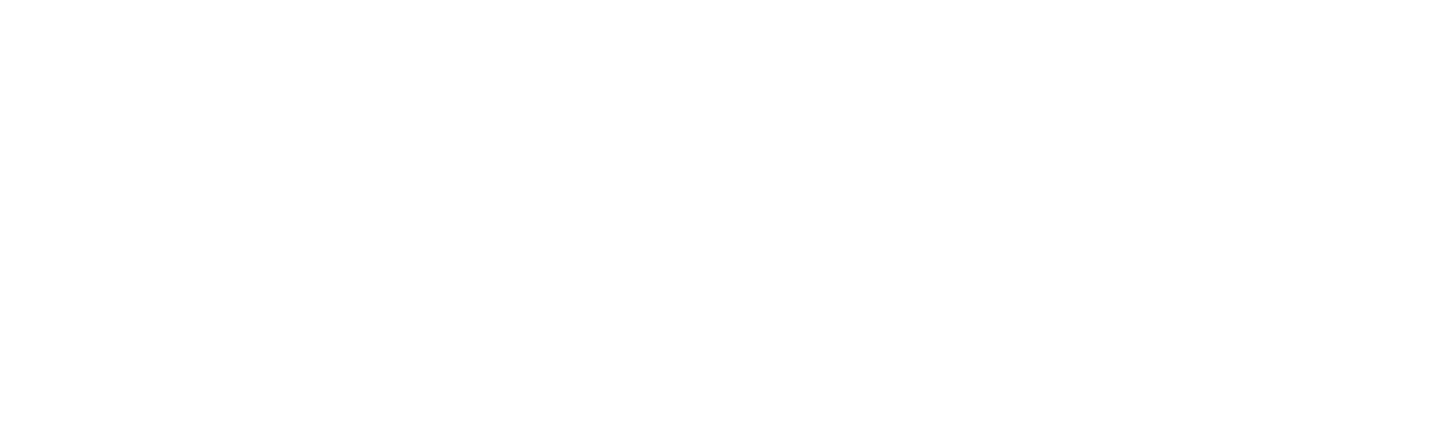 Captive Auto Finance